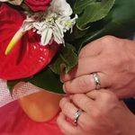 Profile Picture of Peter Riccardo D'Urso (@peterriccardodurso) on Instagram