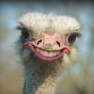 Profile Picture of Ellen Reitner (@ellen.reitner) on Facebook