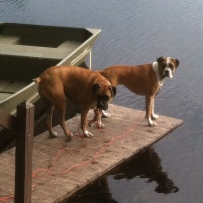 Profile Picture of Aaron Bensinger (@BensingerAaron) on Twitter