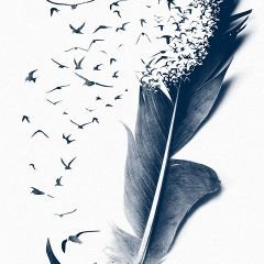 Profile Picture of Daniel Jaen (@DanielJaen6) on Twitter