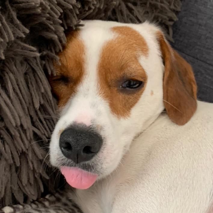 Profile Picture of Perloff (@perloff) on Tiktok