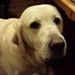 Profile Picture of James Bensink (@jamesbensink) on Pinterest