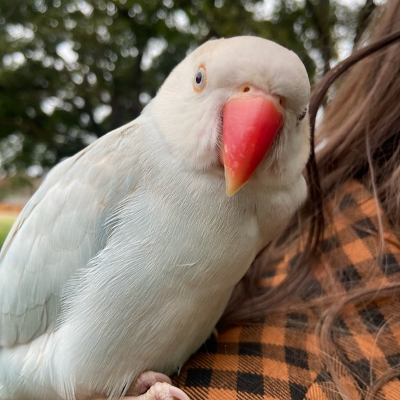 Melanie Conzet - Poshmark Profile Picture of Melanie Conzet (@melanieconzet) on Poshmark