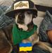 Profile Picture of Scott Titus (@scott.titus.948) on Facebook