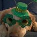 Profile Picture of Mary Trimmer Robinson (@trimmer55) on Pinterest