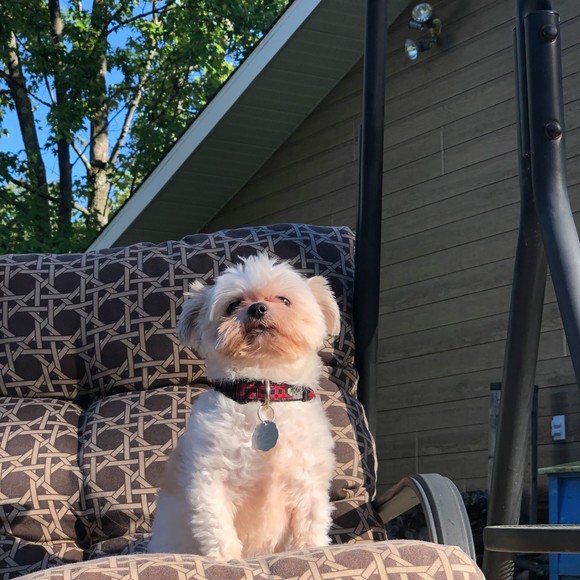 Profile Picture of Guizmy Taing (@lindataing1220) on Poshmark