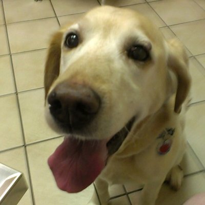 Profile Picture of Michael Holohan (@DCMikeH) on Twitter