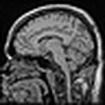 Profile Picture of Mark Thoreson (@Mark Thoreson) on Flickr