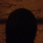 Profile Picture of Kevin Crandall (@kevin_ra_crandall) on Instagram