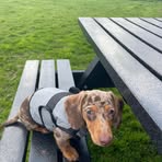 Profile Picture of Beverley WarmanJohnston (@beverley.warmanjohnston) on Facebook