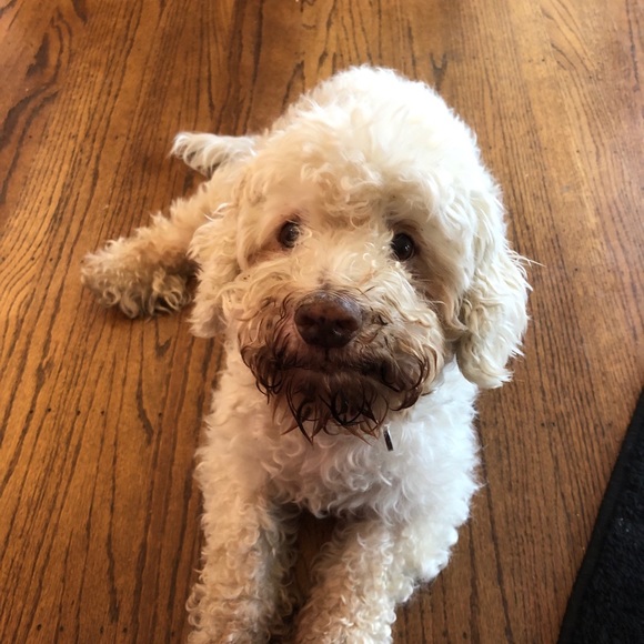 Profile Picture of Max Randall (@maxrandall) on Poshmark