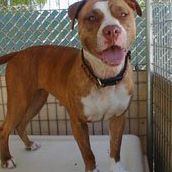 Profile Picture of Shawn Pyatt (@shawn.pyatt.1) on Facebook