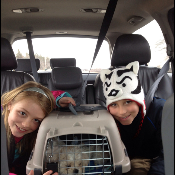 Profile Picture of Beth Tewes (@tewestwins03) on Poshmark