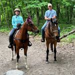 Profile Picture of Deb Graham Walnutlanefarms (@khgraham7) on Instagram