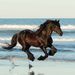 Profile Picture of Mary Lee Crigler (@marylee_horses) on Pinterest