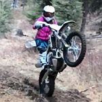 Sarah Whipple - Instagram Profile Picture of Sarah Whipple (@_sarah_whipple_) on Instagram