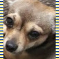 Profile Picture of Loretta And Terry Coffman (@loretta-and-terry-coffman) on Quora