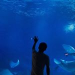 Profile Picture of Steve_ (@hanlin931115) on Instagram