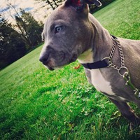 Profile Picture of Robyn Gill (@robyn-gill-8) on Quora