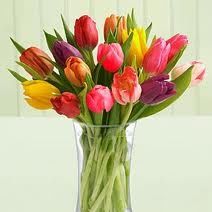 Profile Picture of Amy Chandler (@zanyamy70) on Pinterest