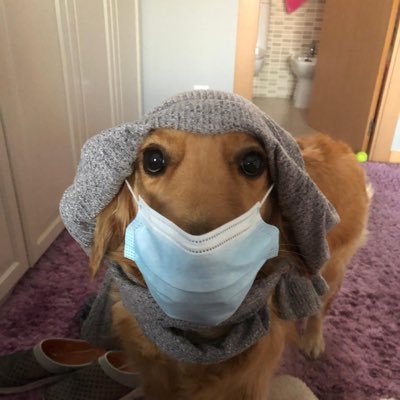 Profile Picture of Alex Machado (@AlexMac33361076) on Twitter