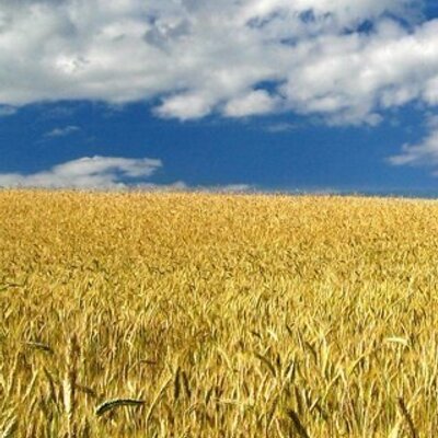 Profile Picture of Mandy Richards (@dailyredeemed) on Twitter