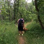 Profile Picture of Brian Frost (@doesyourshoulderhanglow) on Instagram