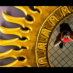 Profile Picture of Jose Campos (@creative vision of avarice) on Flickr