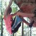 Profile Picture of Ian Battles (@kylebattles) on Pinterest