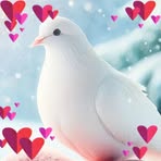 Profile Picture of Paula Flower (@Paula-Flower) on Facebook
