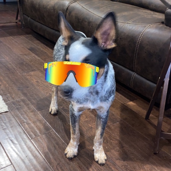 Profile Picture of Christopher Luera (@bubba06luera) on Poshmark