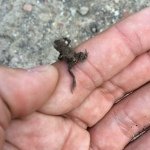 Profile Picture of Daniel Laubert (@danlau91) on Instagram