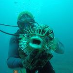 Profile Picture of Jose Ismael Berrocal Ugalde (@berro27_) on Instagram