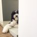 Profile Picture of Hapeman Hill (@huguettehubard) on Pinterest