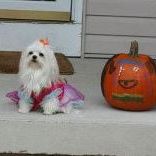 Profile Picture of Ann-Marie Ross Benson (@amer1374) on Pinterest