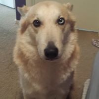 Christopher Sandos - Quora Profile Picture of Christopher Sandos (@christopher-sandos) on Quora