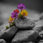 Profile Picture of Elias Bruno (@Elias-Bruno) on Facebook