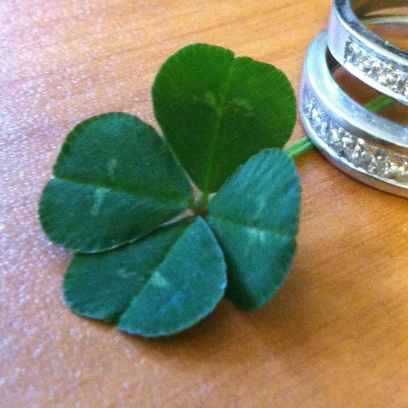 Profile Picture of Cassandra Linthicum (@clinthi) on Poshmark