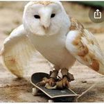 Profile Picture of Blake Perrin (@blakeye007) on Instagram