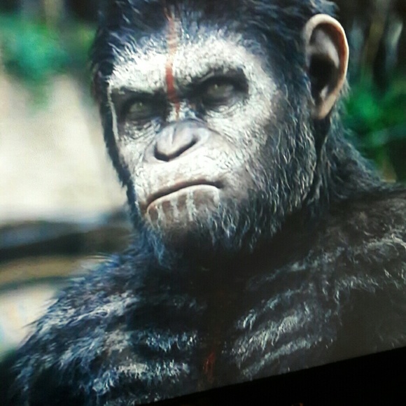 Profile Picture of Nelson Rivera (@nrivera917) on Poshmark