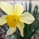 Profile Picture of Crystal Lagrone (@friendofestonia11) on Instagram