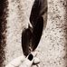 Profile Picture of Feathers Clarence (@Feathers-Clarence) on Facebook