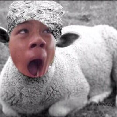 Profile Picture of Ziyuannn (@Ziyuan98) on Twitter