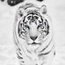 Profile Picture of Thomas Sparo (@thomas.sparo.7) on Facebook