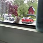 Profile Picture of Thomas Whitby (@whitbythomas) on Instagram