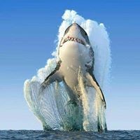Profile Picture of Justin Stanford (@justin-stanford-11) on Quora