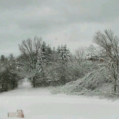 Profile Picture of Joe Borello (@BorelloJoe) on Twitter