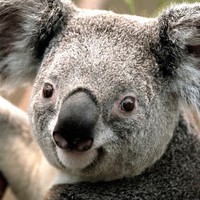 Chase Linger - Quora Profile Picture of Chase Linger (@chase-linger-3) on Quora