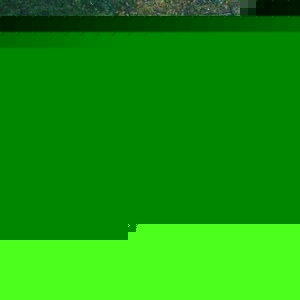 Profile Picture of Dylan Rockafellow (@426915560) on Myspace