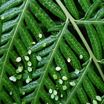 Profile Picture of Yachi Chou (@annie.chou0303) on Flickr